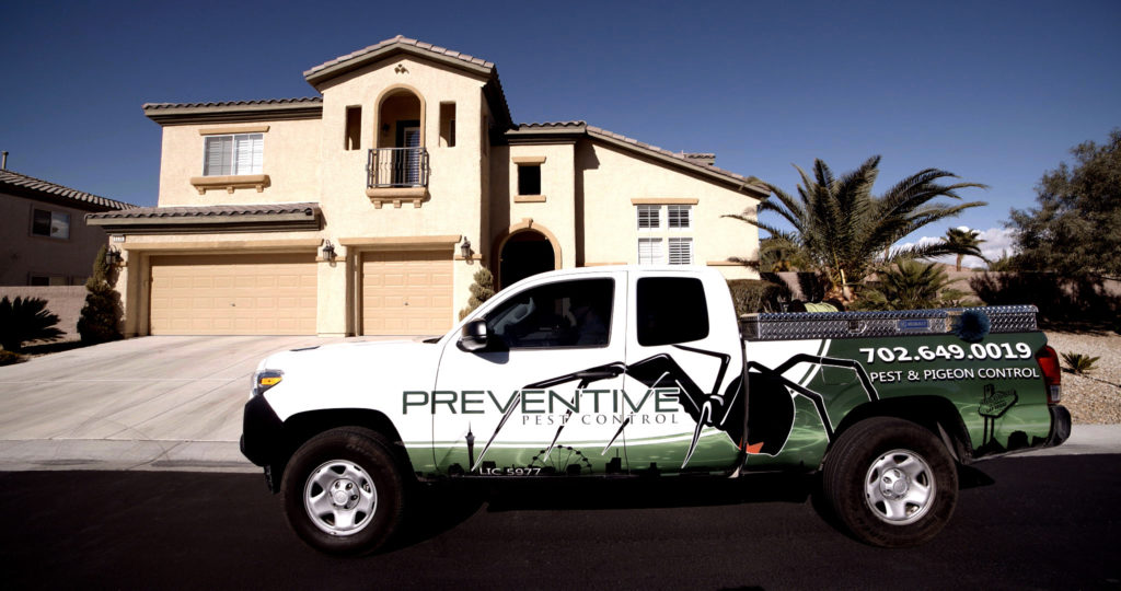 website pics - (6) - Preventive Pest Control