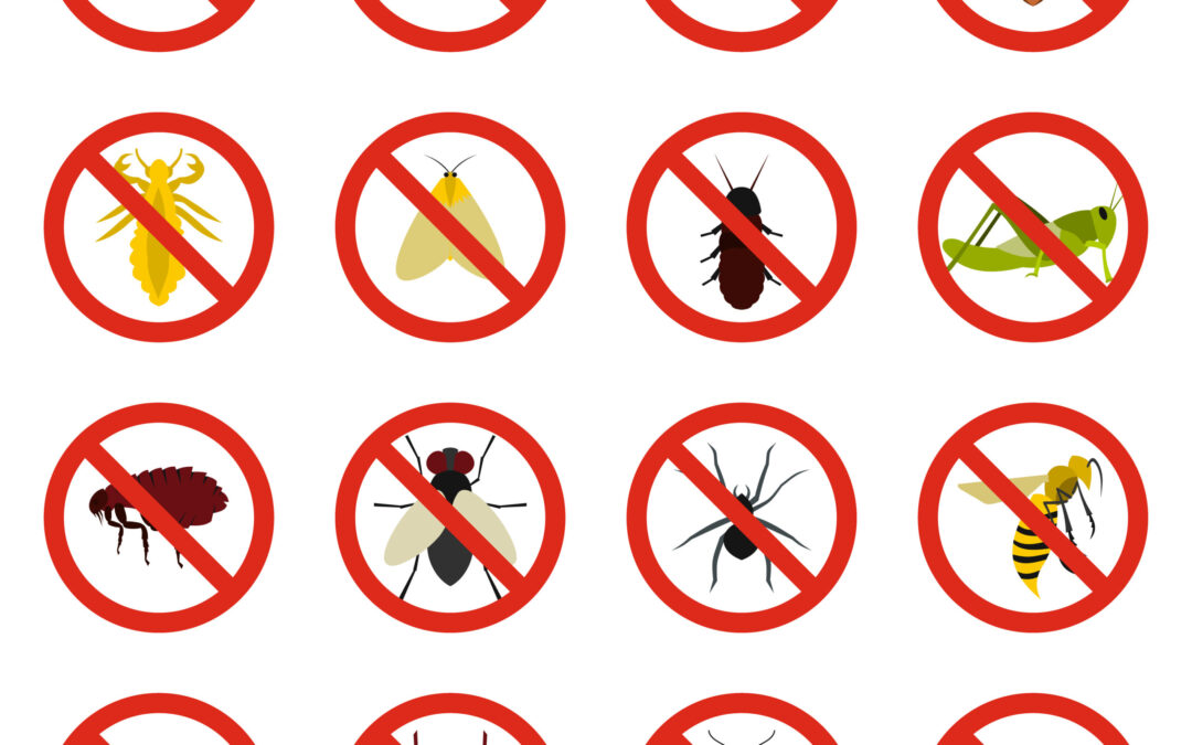 Pest Control and Sustainable Living: Eco-Friendly Practices for Las Vegas Residents