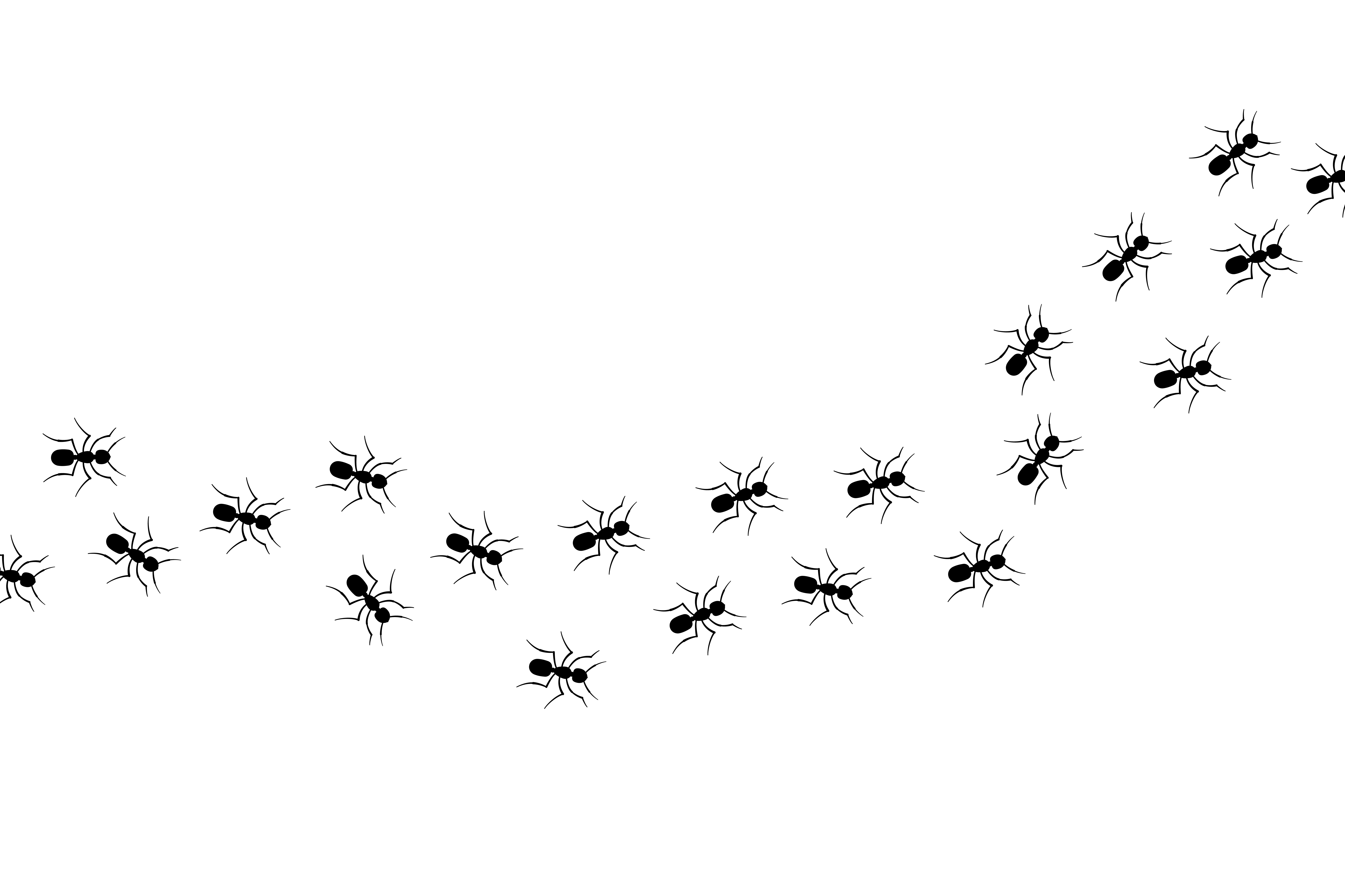 Ants Marching Across Screen Professional pest control