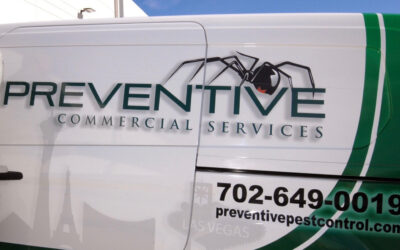 How Commercial Pest Control Protects Las Vegas Businesses