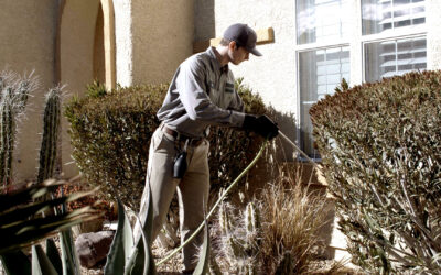 How To Prepare Your Home For Peak Pest Season